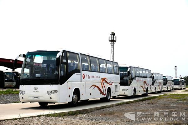 上海錦勤采購的批量海格客車 (3).jpg