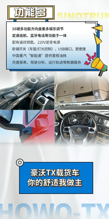 豪沃TX載貨車4.jpg